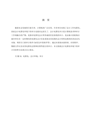 论电算化环境下的审计方法分析研究  财务管理专业