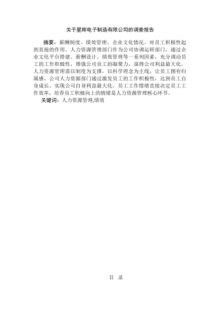 星辉电子制造有限公司的调查报告分析研究 工商管理专业