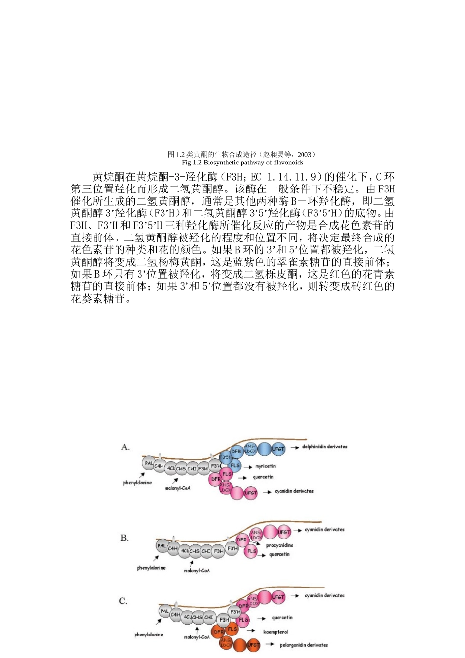 花色素苷生物合成相关基因的研究进展分析研究  生物技术专业_第2页