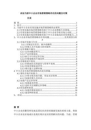 试论当前中小企业市场营销策略存在的问题及对策分析研究  工商管理专业