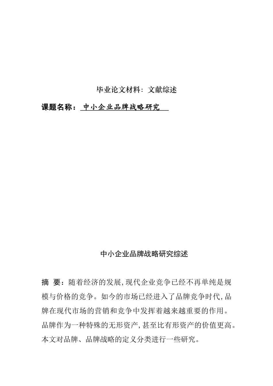 文献综述  中小企业品牌战略研究分析_第1页