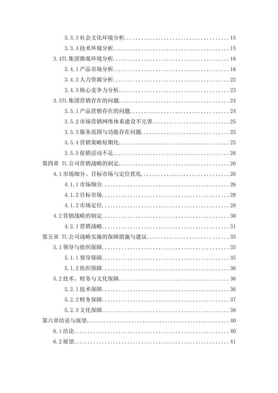 TL集团企业营销战略研究分析  市场营销专业_第3页