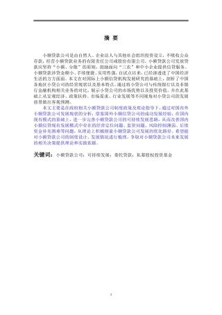 对小额贷款公司发展的思考及探析