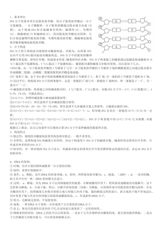 2024年DNA的结构与复制知识点与练习题