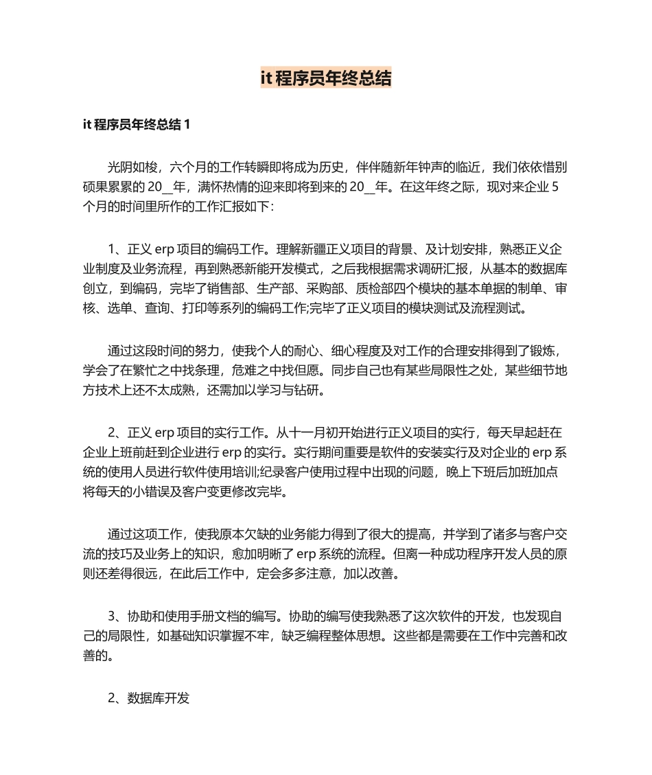 2024年it程序员年终总结_第1页