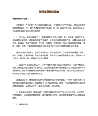 2024年it程序员年终总结