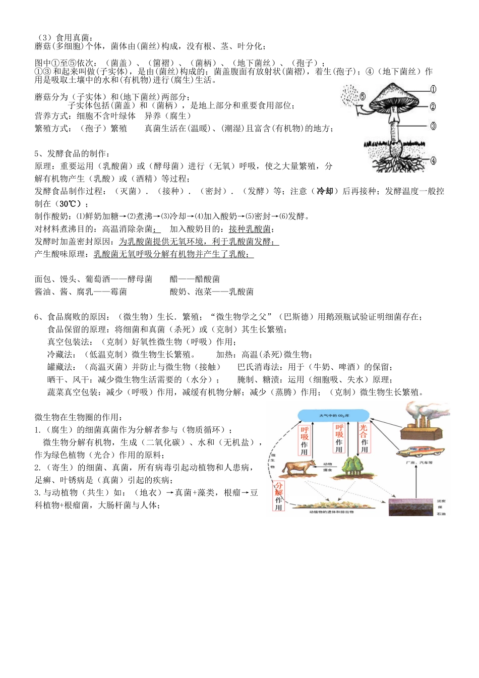 2024年八年级上册微生物的知识点_第2页