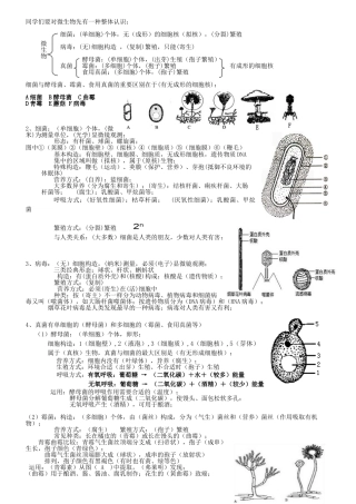 2024年八年级上册微生物的知识点