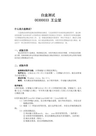 2024年白盒测试实验报告