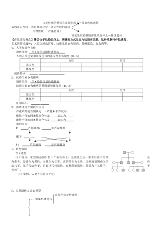 2024年伴性遗传 知识点  同步练习