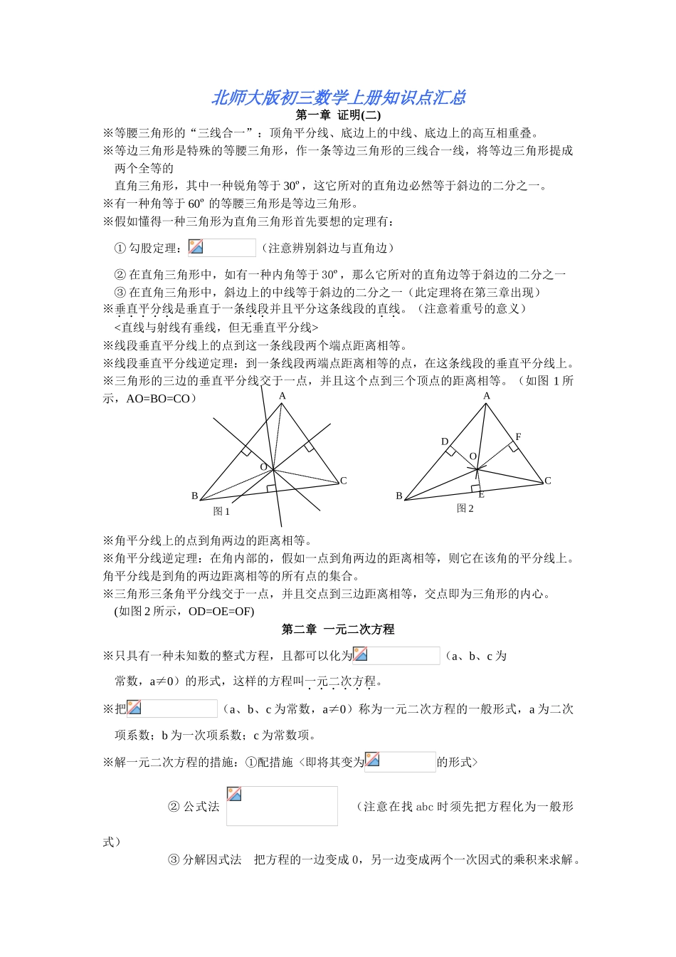 2024年北师大版初三数学知识点总结_第1页