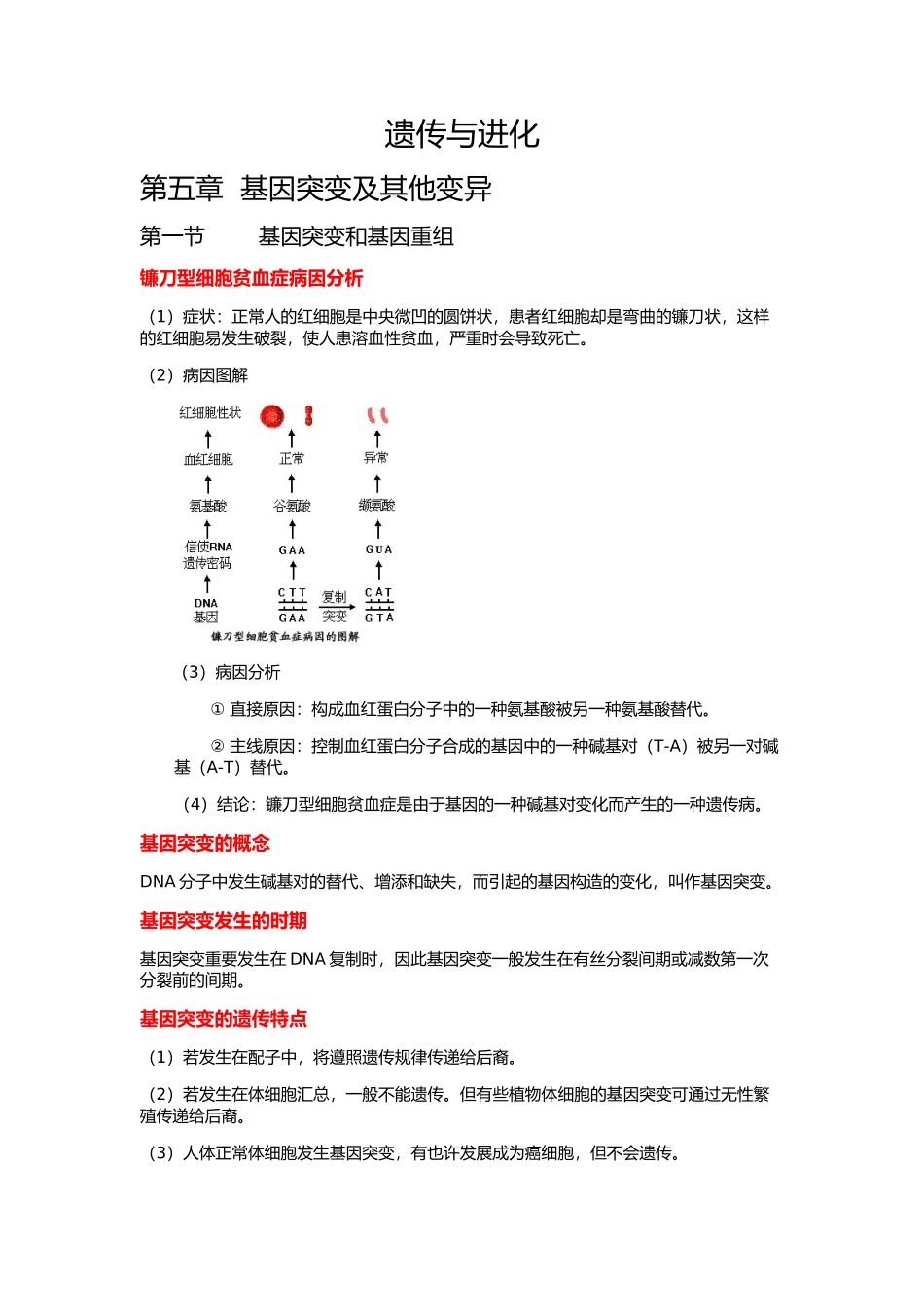 2024年必修二基因突变及其他变异知识点总结_第1页