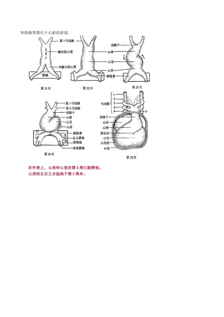 2024年儿科知识点精华执业医主治循环系统疾病_第3页