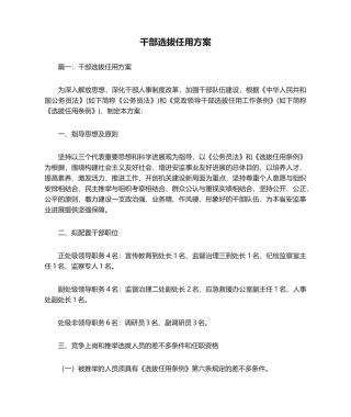 2024年干部选拔任用方案