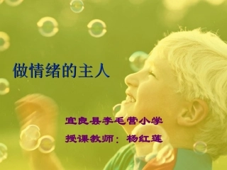 做情绪的主人PPT培训课件