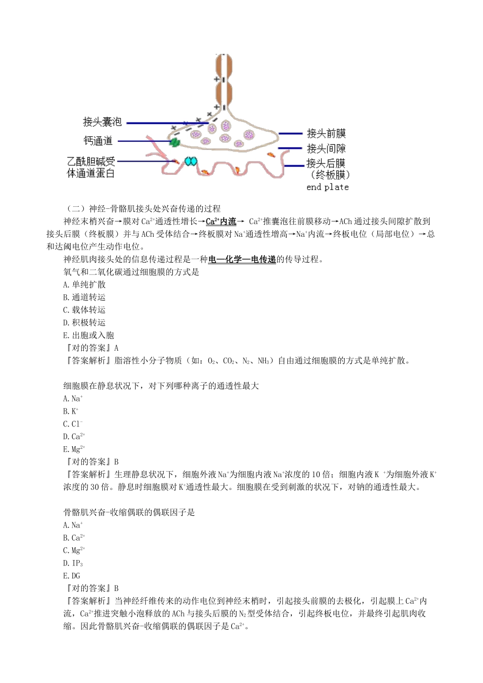 2024年生理学重点知识点归纳总结_第3页