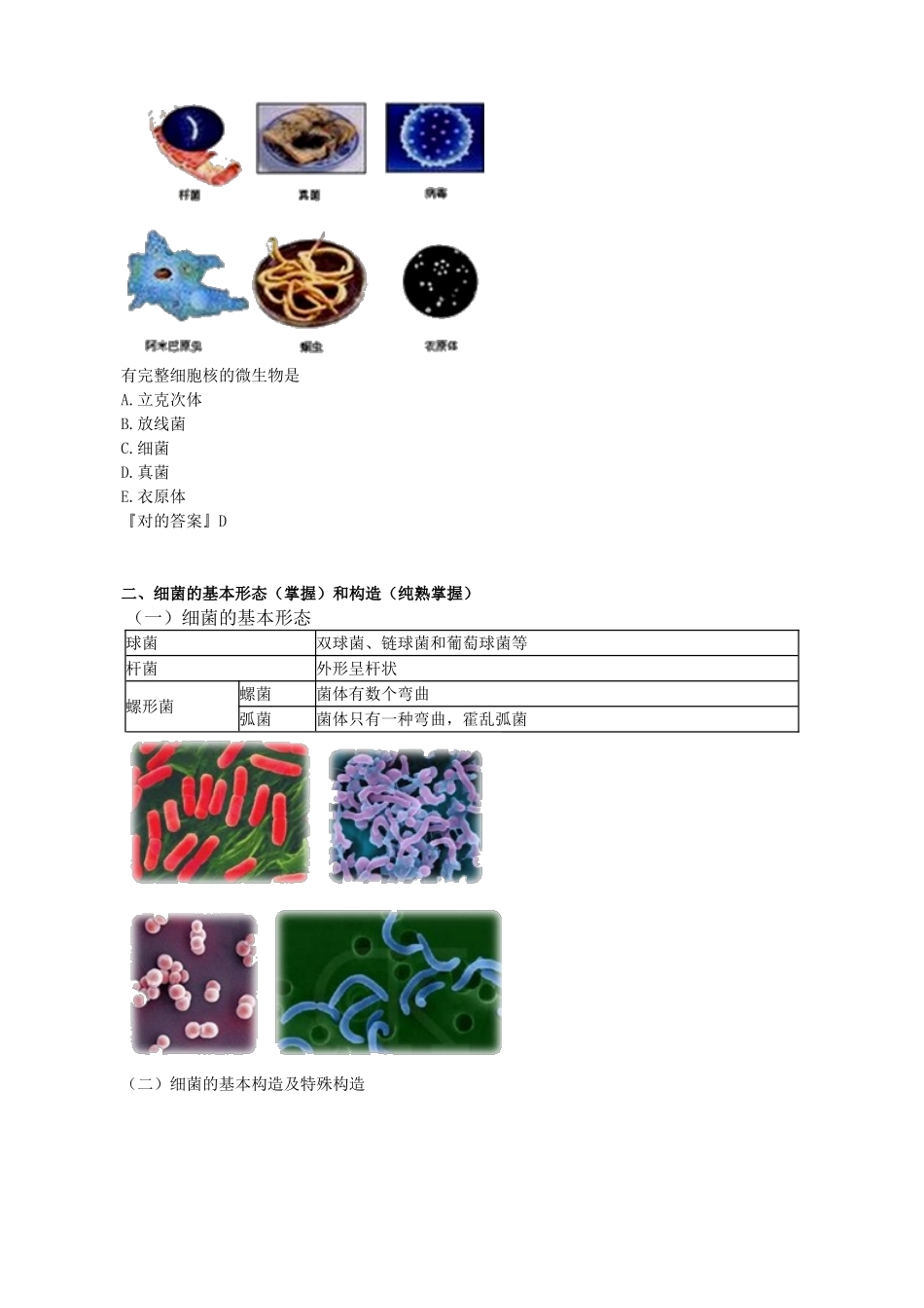2024年微生物学重点知识点归纳总结_第2页
