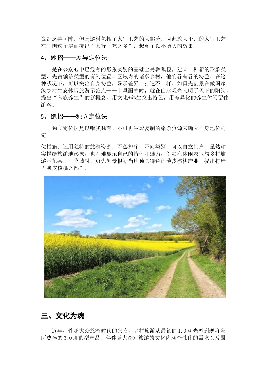 2024年乡村振兴实战导则_第3页