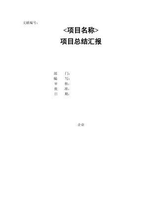 2024年项目总结报告总结归纳
