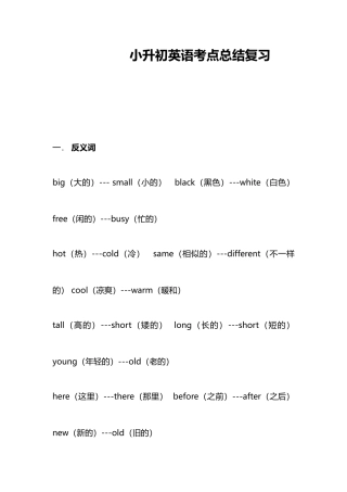 2024年小升初英语考点总结复习