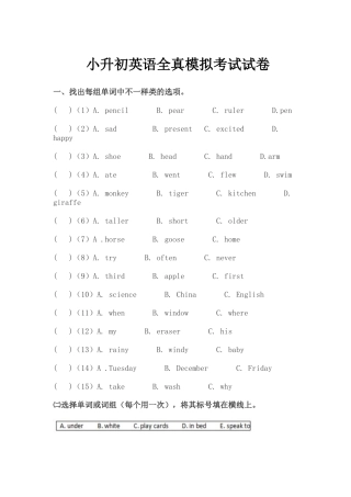 2024年小升初英语全真模拟考试试卷