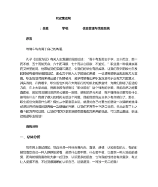 2024年信息管理与信息系统职业规划