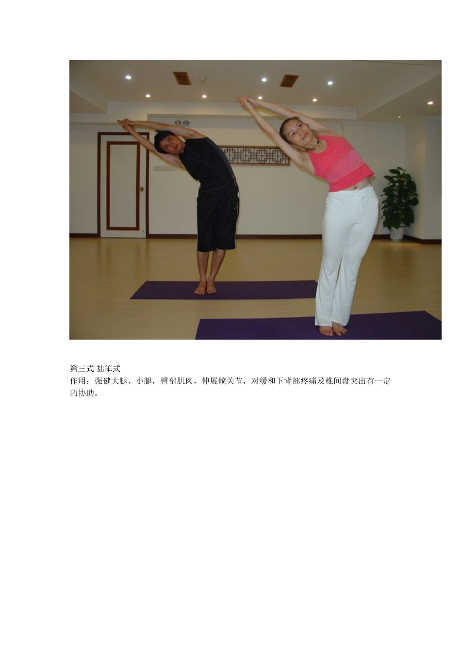 2024年瑜伽全套动作及图解_第2页