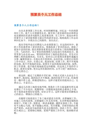 2024年预算员个人工作总结