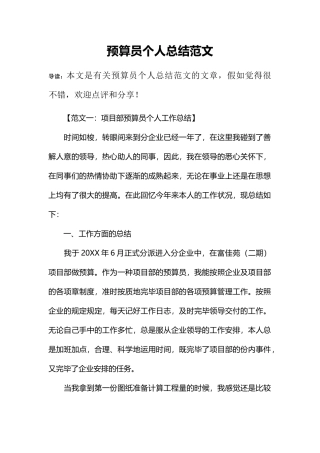 2024年预算员个人总结范文