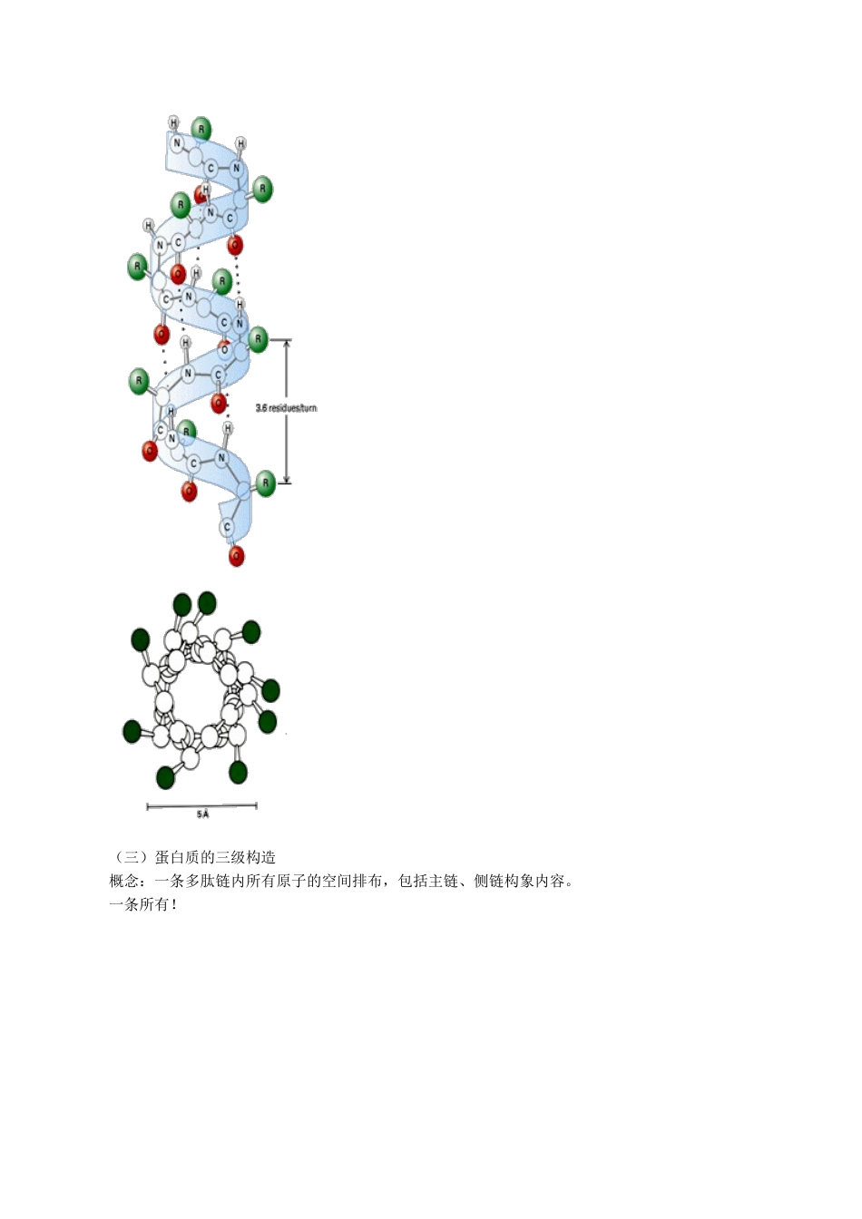 2024年执业医师考试重点生物化学_第3页