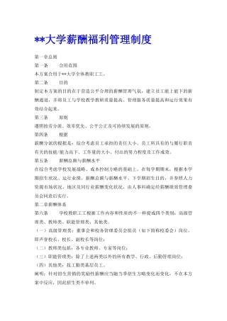 2024年制度文件大学薪酬福利制度全套