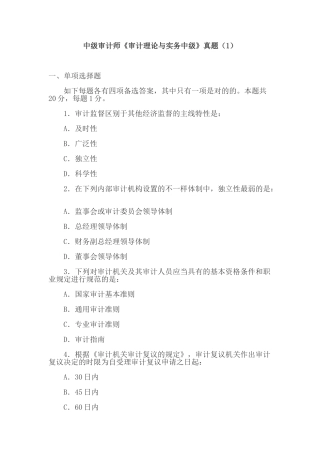 2024年中级审计师审计理论与实务中级真题