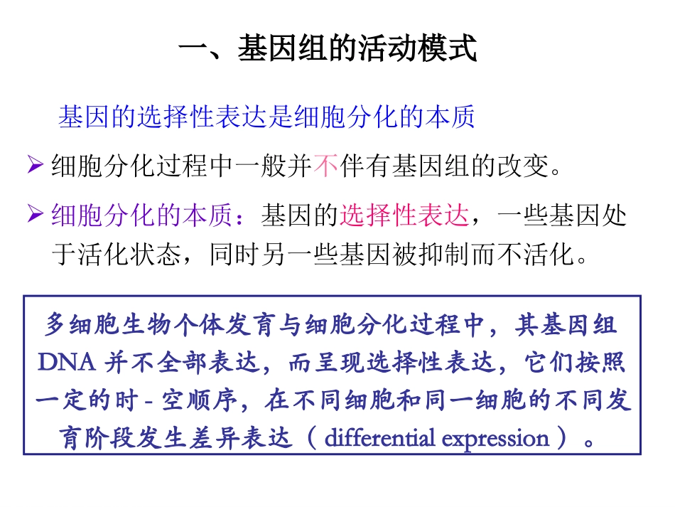组蛋白的乙酰化PPT培训课件_第3页