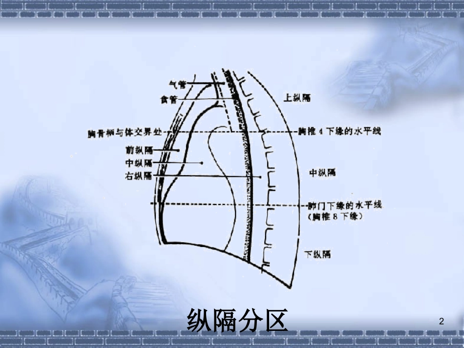 纵隔淋巴结分区PPT培训课件_第2页