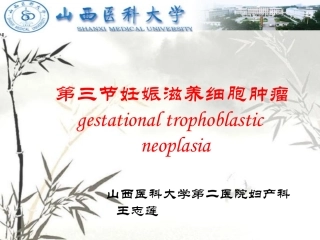 滋养细胞肿瘤PPT培训课件