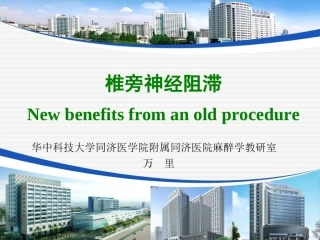 椎旁神经阻滞PPT培训课件