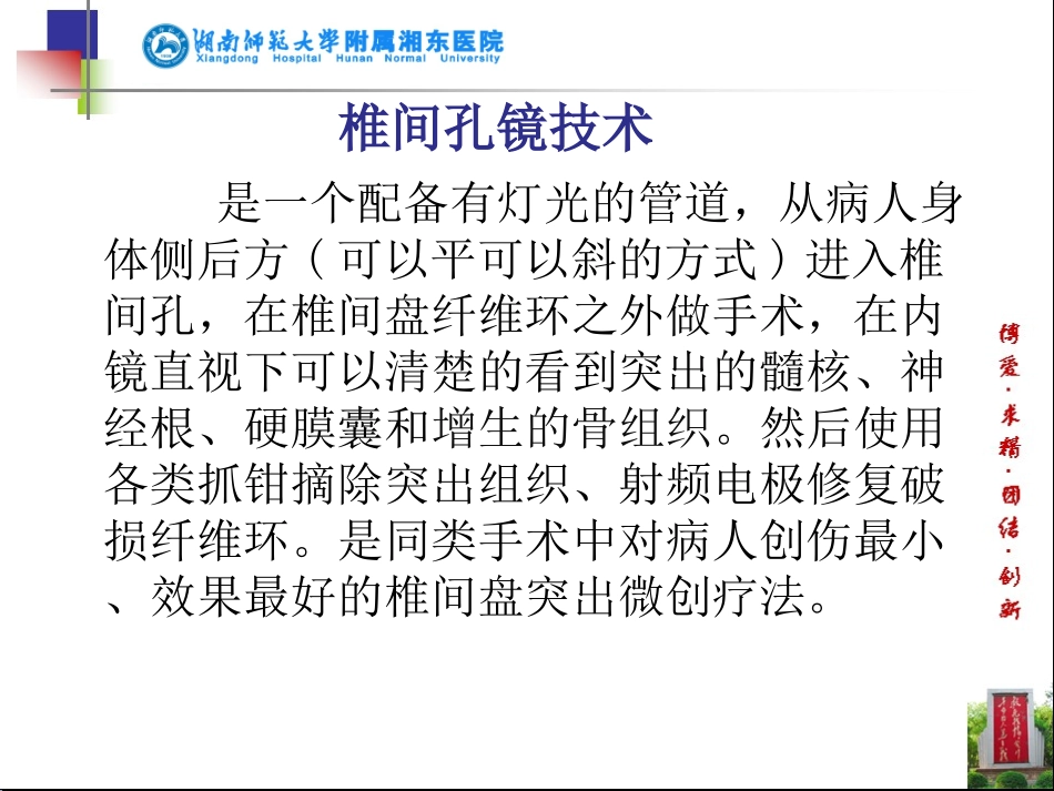 椎间孔镜技术PPT培训课件_第2页