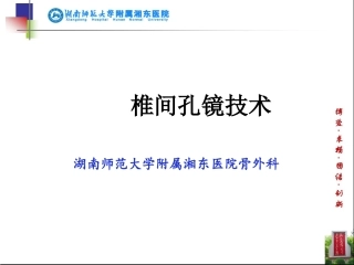 椎间孔镜技术PPT培训课件