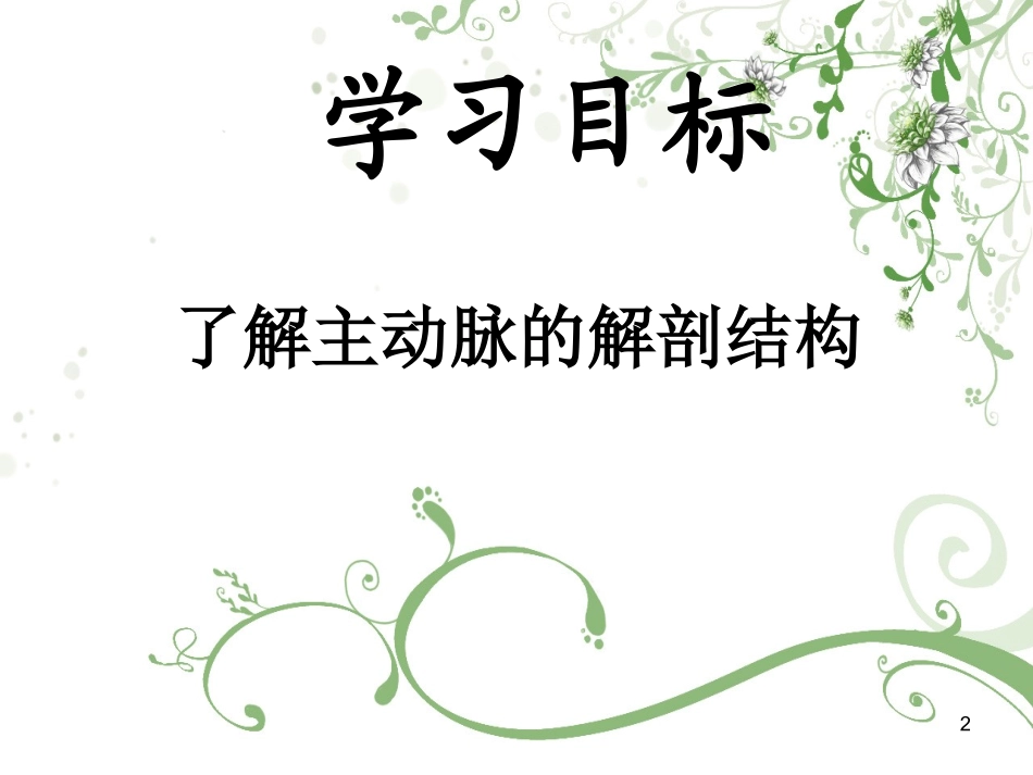 主动脉的解剖PPT培训课件_第2页
