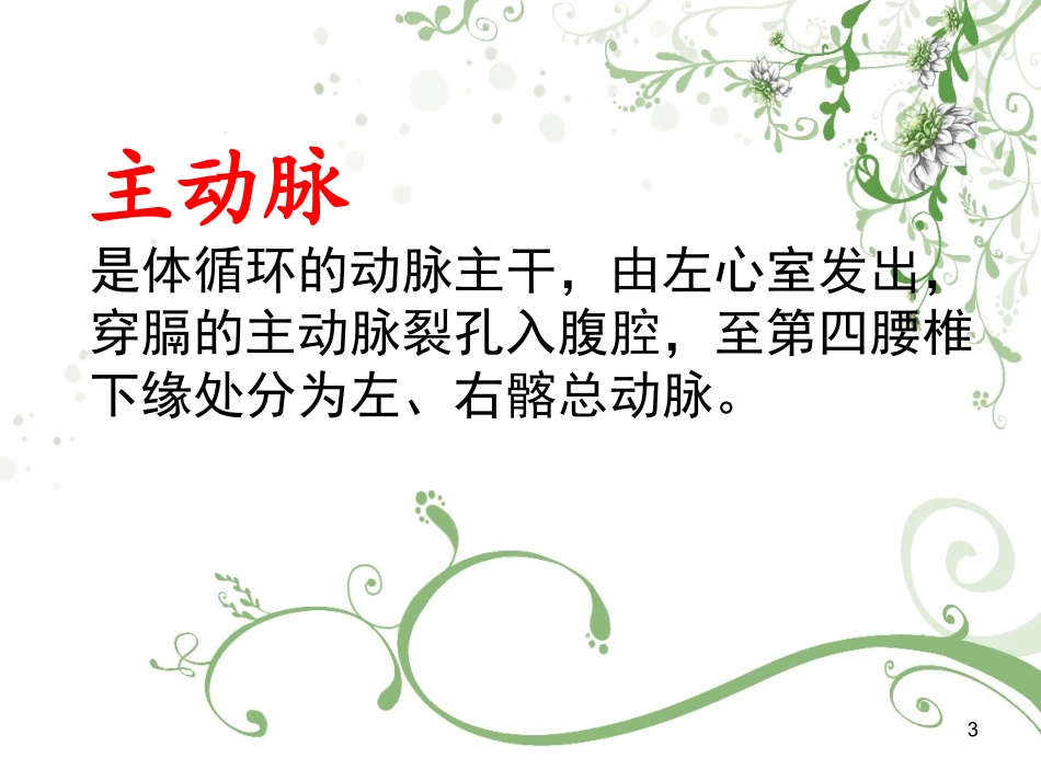 主动脉的解剖PPT培训课件_第3页