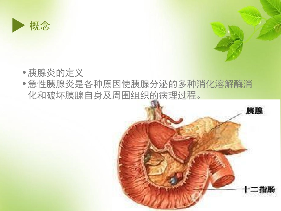 重症胰腺炎护理PPT培训课件_第2页