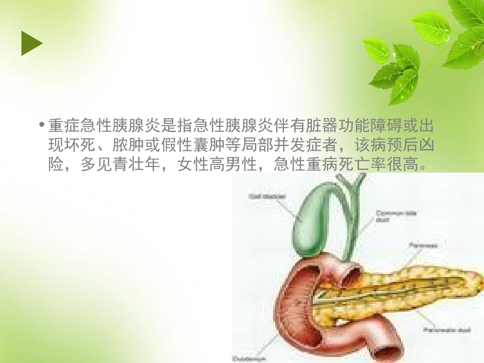 重症胰腺炎护理PPT培训课件_第3页