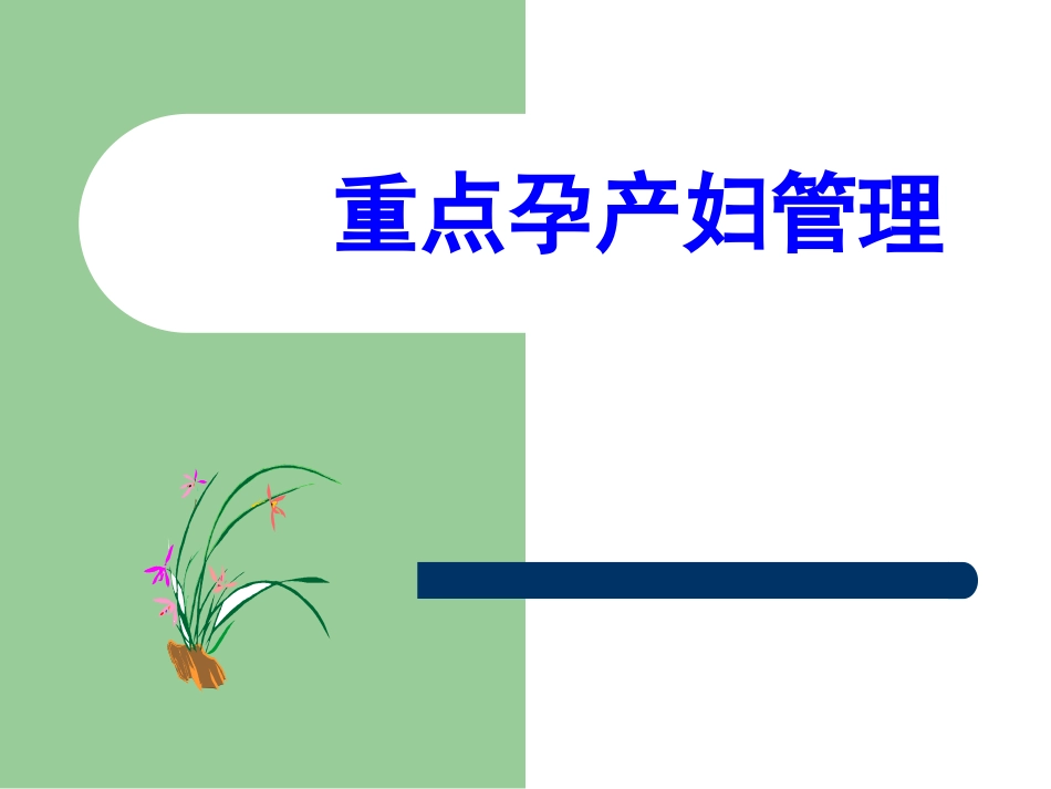 重点孕产妇管理PPT培训课件_第1页