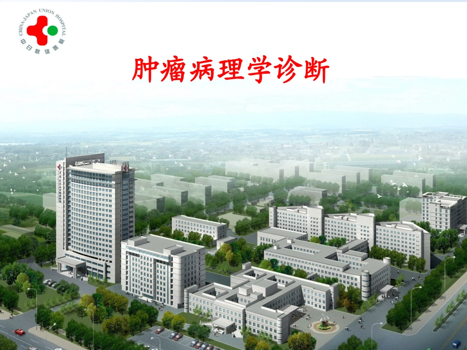 肿瘤病理诊断PPT培训课件_第1页