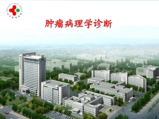 肿瘤病理诊断PPT培训课件