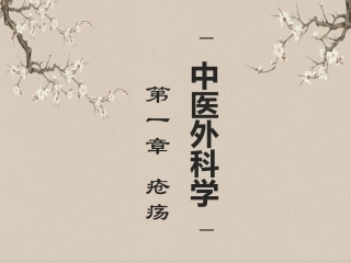 中医外科学疮疡PPT培训课件