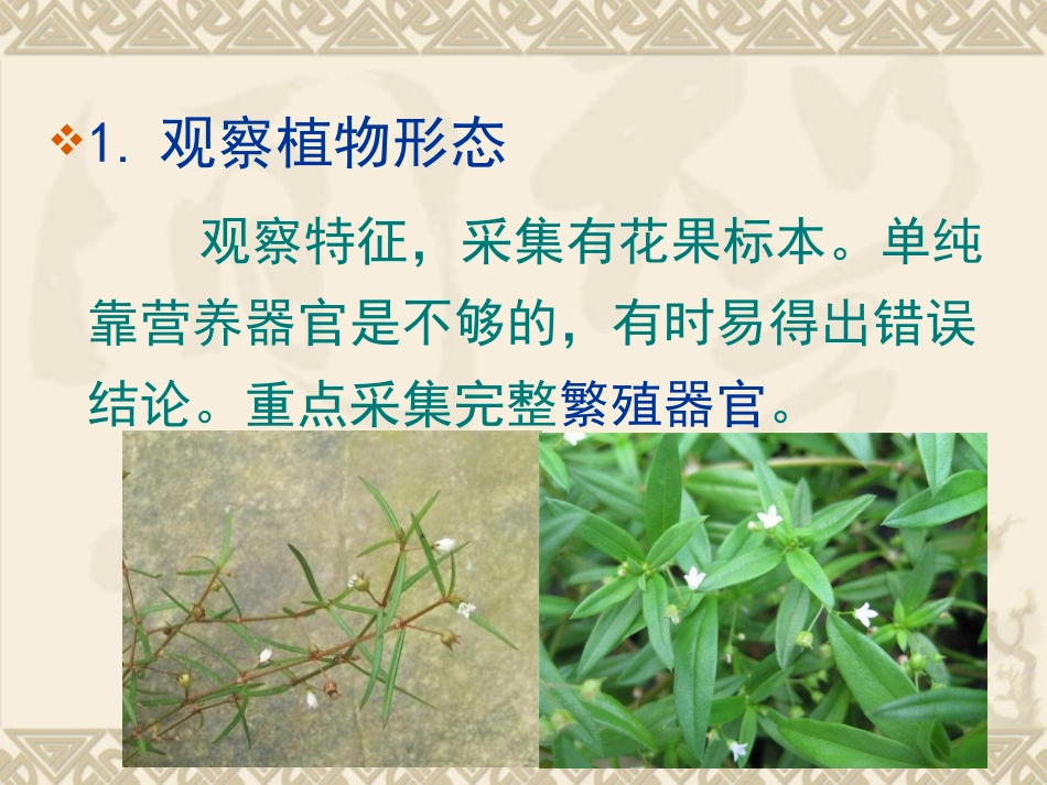 中药的性状鉴定PPT培训课件_第3页