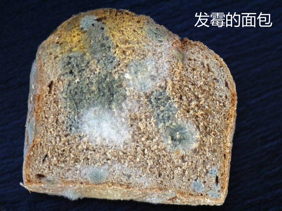 中班病菌来了PPT培训课件_第3页
