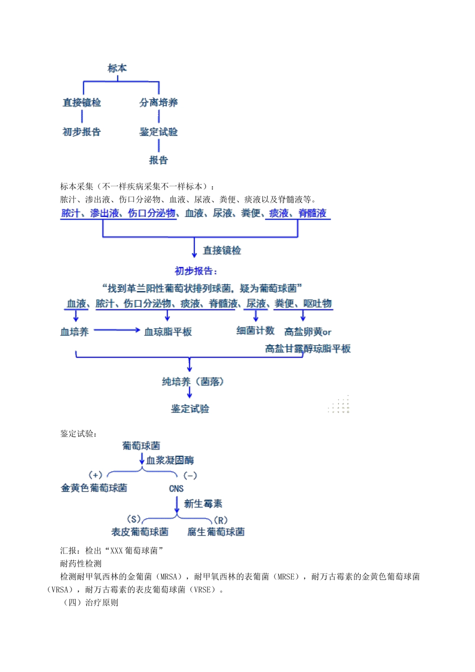 2024年主管检验技师考试临床医学检验微生物检验讲义第13章病原性球菌及检验_第3页