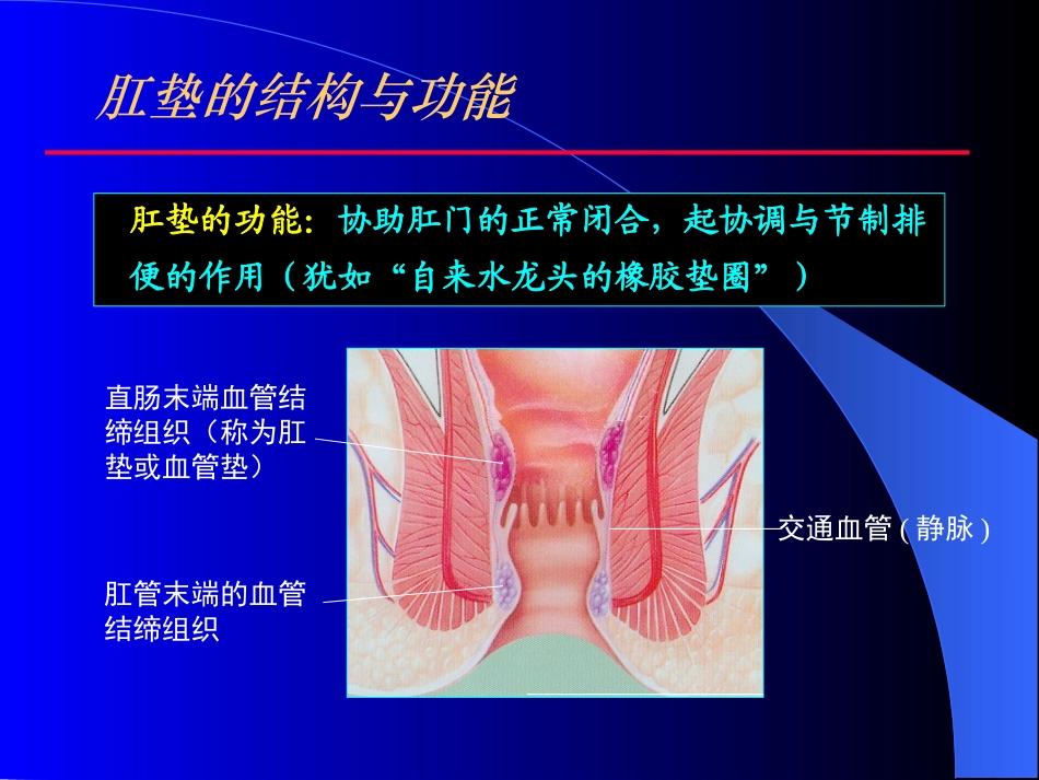 痔疮与套扎治疗PPT培训课件_第3页